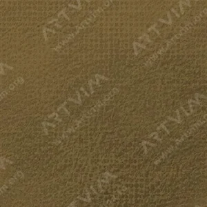 رویال تالنز : پاستل نرم رامبراند : Raw Umber TR408.7