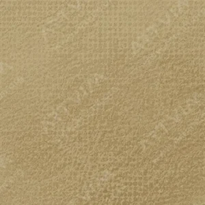 رویال تالنز : پاستل نرم رامبراند : Raw Umber TR408.9