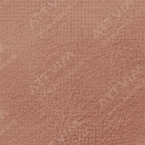 رویال تالنز : پاستل نرم رامبراند : Burnt Umber TR409.8