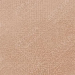 رویال تالنز : پاستل نرم رامبراند : Burnt Umber TR409.9