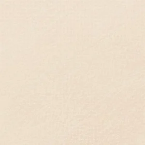 رویال تالنز : پاستل نرم رامبراند : Burnt Sienna TR411.10