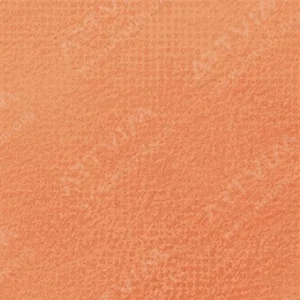 رویال تالنز : پاستل نرم رامبراند : Burnt Sienna TR411.8