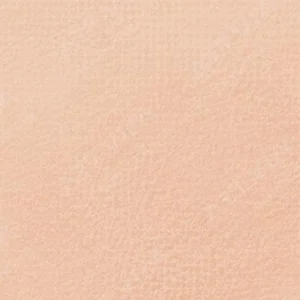 رویال تالنز : پاستل نرم رامبراند : Burnt Sienna TR411.9
