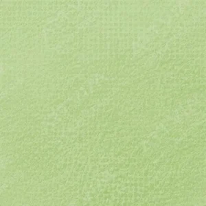 رویال تالنز : پاستل نرم رامبراند : Permanent Green Light TR618.8