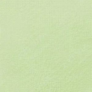 رویال تالنز : پاستل نرم رامبراند : Permanent Green Light TR618.9