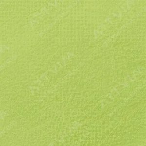 رویال تالنز : پاستل نرم رامبراند : Cinnabar Green Light TR626.7