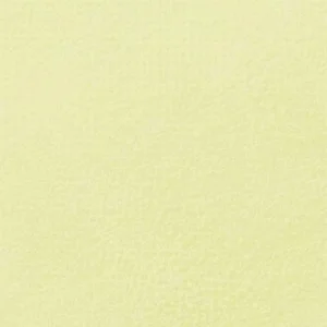 رویال تالنز : پاستل نرم رامبراند : Permanent Yellow Green TR633.7