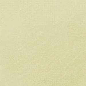 رویال تالنز : پاستل نرم رامبراند : Permanent Yellow Green TR633.9