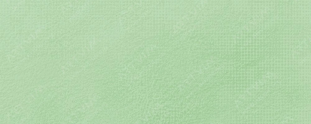 اشمینکه : پاستل‌ نرم آرتیست : Leaf Green No. 1 O