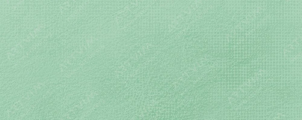 اشمینکه : پاستل‌ نرم آرتیست : Leaf Green No. 2 O