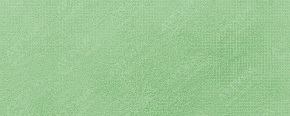 اشمینکه : پاستل‌ نرم آرتیست : Mossy Green No. 1 D