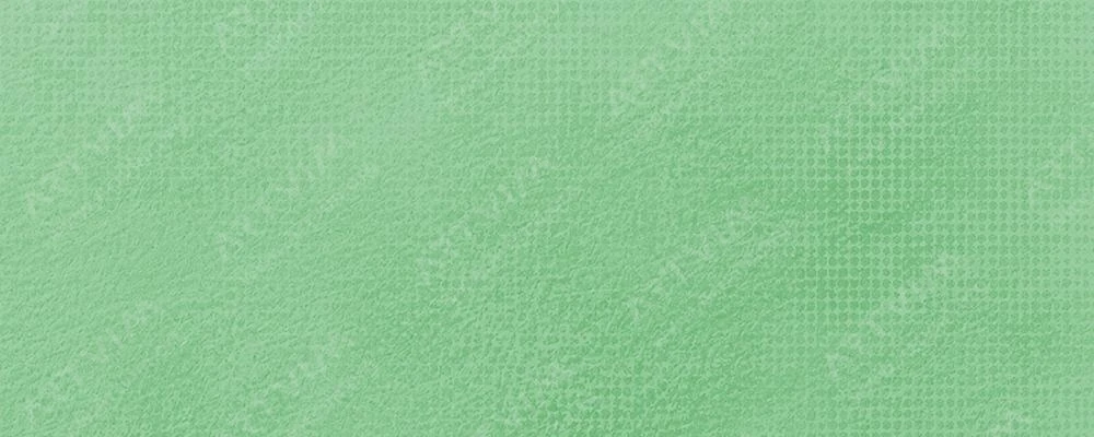 اشمینکه : پاستل‌ نرم آرتیست : Mossy Green No. 2 H