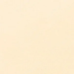 سن‌نلیه : پاستل نرم آرتیست : Yellow Ochre 117