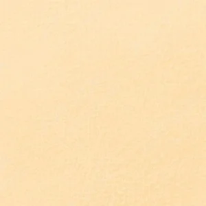 سن‌نلیه : پاستل نرم آرتیست : Golden Ochre 129