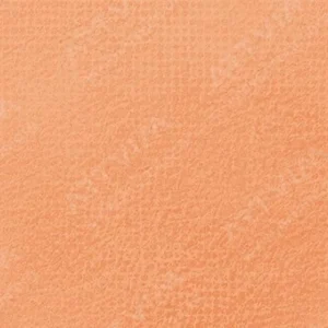 سن‌نلیه : پاستل نرم آرتیست : Flesh Ochre 17