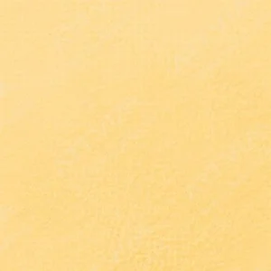 سن‌نلیه : پاستل نرم آرتیست : Bright Yellow 343