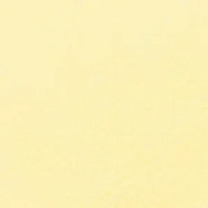 سن‌نلیه : پاستل نرم آرتیست : Bright Yellow 344