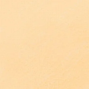 سن‌نلیه : پاستل نرم آرتیست : Gamboge 371