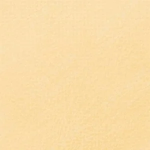 سن‌نلیه : پاستل نرم آرتیست : Orange Lead 041