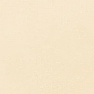 سن‌نلیه : پاستل نرم آرتیست : Orange Lead 43
