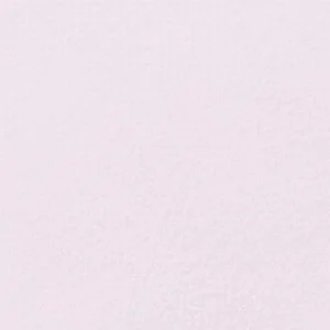 سن‌نلیه : پاستل نرم آرتیست : Violet Brown Lake 448