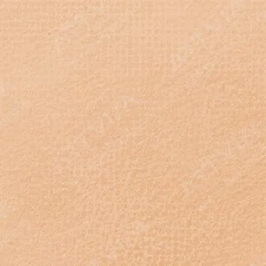 سن‌نلیه : پاستل نرم آرتیست : Raw Sienna 512