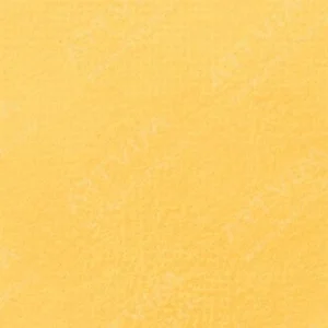 سن‌نلیه : پاستل نرم آرتیست : Iridescent 802