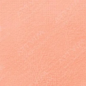 سن‌نلیه : پاستل نرم آرتیست : Vermillion 85