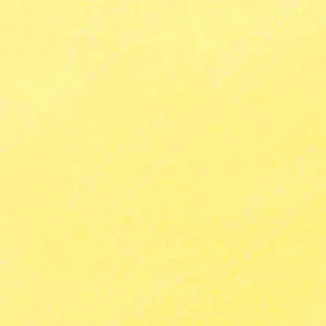 سن‌نلیه : پاستل نرم آرتیست : Nickel Yellow 900