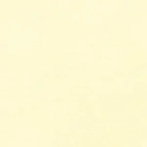 سن‌نلیه : پاستل نرم آرتیست : Nickel Yellow 903
