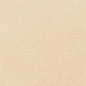 یونیسن کالر : پاستل‌ نرم آرتیست : Brown Earth 26