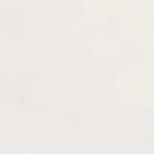 هولبین : آبرنگ آرتیست : Titanium White