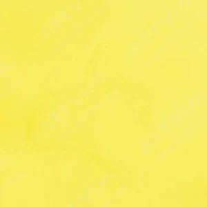 هولبین : آبرنگ آرتیست : Permanent Yellow Lemon