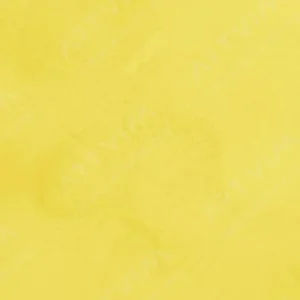 هولبین : آبرنگ آرتیست : Cadmium Yellow Pale