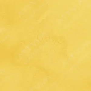 هولبین : آبرنگ آرتیست : Cadmium Yellow Light