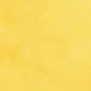هولبین : آبرنگ آرتیست : Gamboge Nova