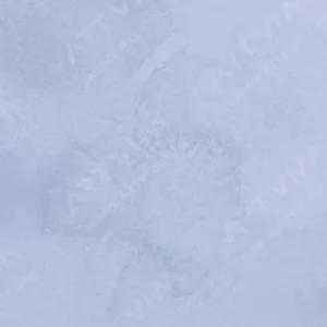 هولبین : آبرنگ آرتیست : Lavender