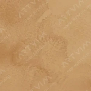 هولبین : آبرنگ آرتیست : Raw Umber