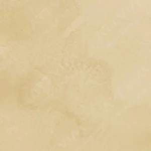 هولبین : آبرنگ آرتیست : Gold