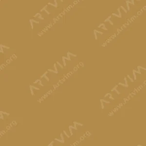 هولبین : گواش آرتیست : Raw Umber