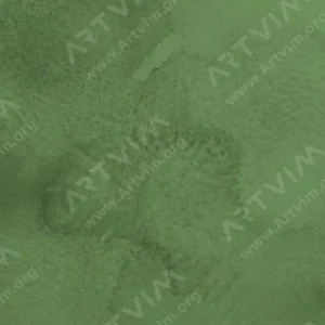 کورِتاکه : آبرنگ ژاپنی گانسای تامبی : Olive Green