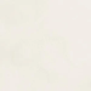 گلدن : آبرنگ کیوور : Titanium White