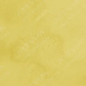 رویال تالنز : آبرنگ آرتیست رامبراند : Permanent Lemon Yellow