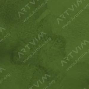 شین‌هان : رنگ ترکیبی آبرنگ و گواش هایبرید : Olive Green