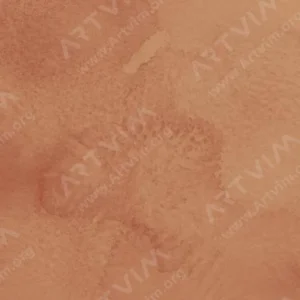 وینزور و نیوتن : آبرنگ حرفه‌ای : Brown Ochre