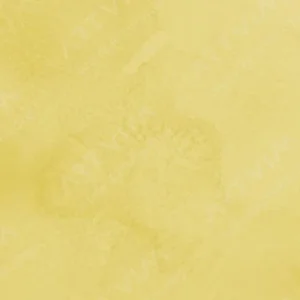 وینزور و نیوتن : آبرنگ حرفه‌ای : Lemon Yellow