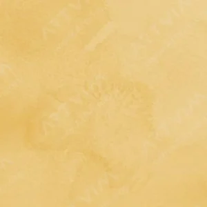 وینزور و نیوتن : آبرنگ حرفه‌ای : Naples Yellow