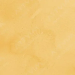 وینزور و نیوتن : آبرنگ حرفه‌ای : Naples Yellow Deep