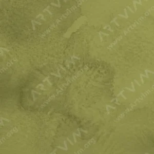 وینزور و نیوتن : آبرنگ حرفه‌ای : Olive Green