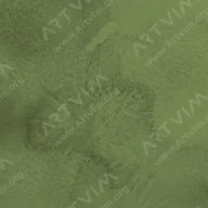 وینزور و نیوتن : آبرنگ حرفه‌ای : Permanent Sap Green